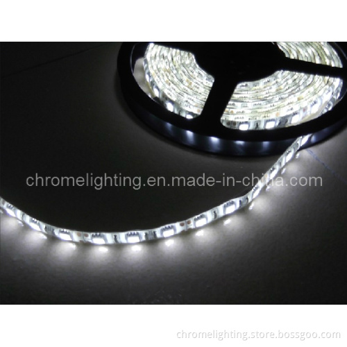 LED Strip Lights, 5050 Strip Light, Flexible LED Strip Light, IP65